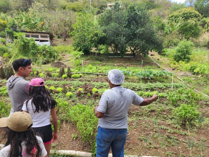 Theresa guiding a family through the crops at T’s EcoGarden